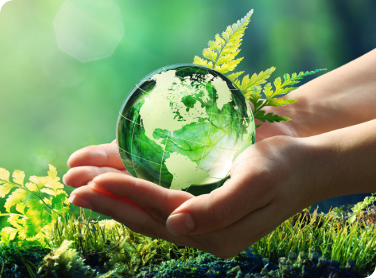 Hands  holding a green earth above grass